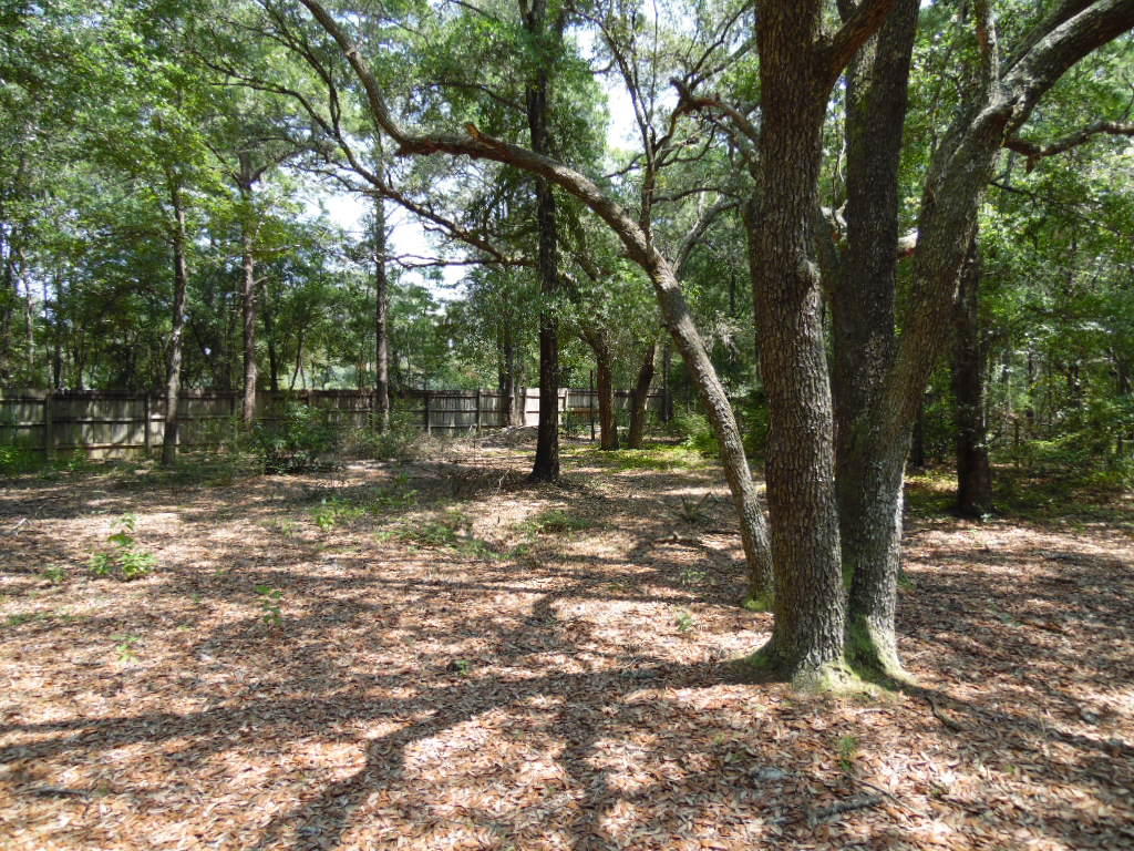 MICHAELMAS ADDN UNREC - Residential