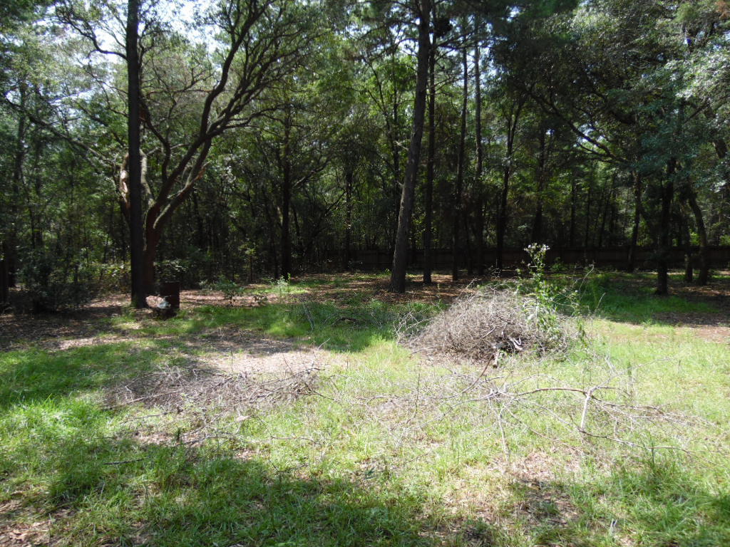 MICHAELMAS ADDN UNREC - Residential