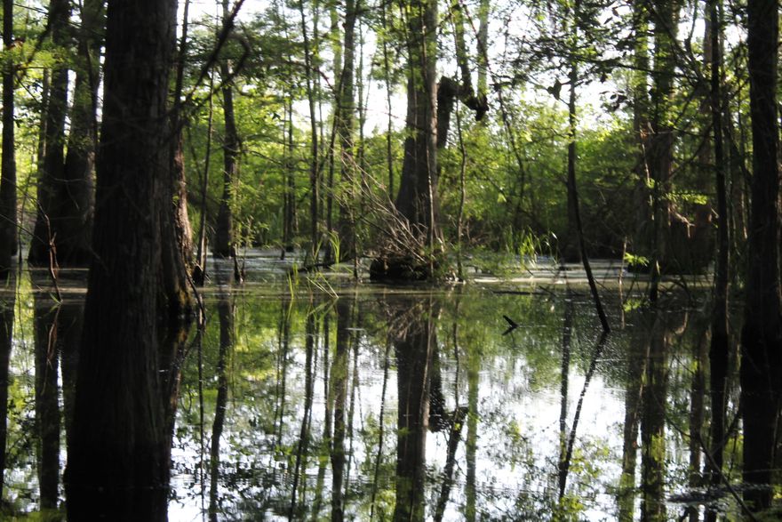 2 PROPERTIES TOTALING 40 ACRES ALL FOR 1 MONEY!!Have you dreamed of building a life away from the hustle and bustle of the ever increasing traffic of the city? Take advantage of this well priced property just north of the Crestview area. While being ''out of site, out of mind'' on this amazingly situated property, you are still very much connected to all the amenities that Northwest Florida has to offer. Just a few short miles to North Crestview for shopping and to Eglin AFB and Special Forces Compound. Just think how great it would be to have all that privacy and only be 45 minutes or less to the sandy white beaches of Destin!!! Don't miss this great property!! (Buyer to verify All measurements and other information deemed important) SERVICE POLE, WELL ALREADY ON PROPERTY!