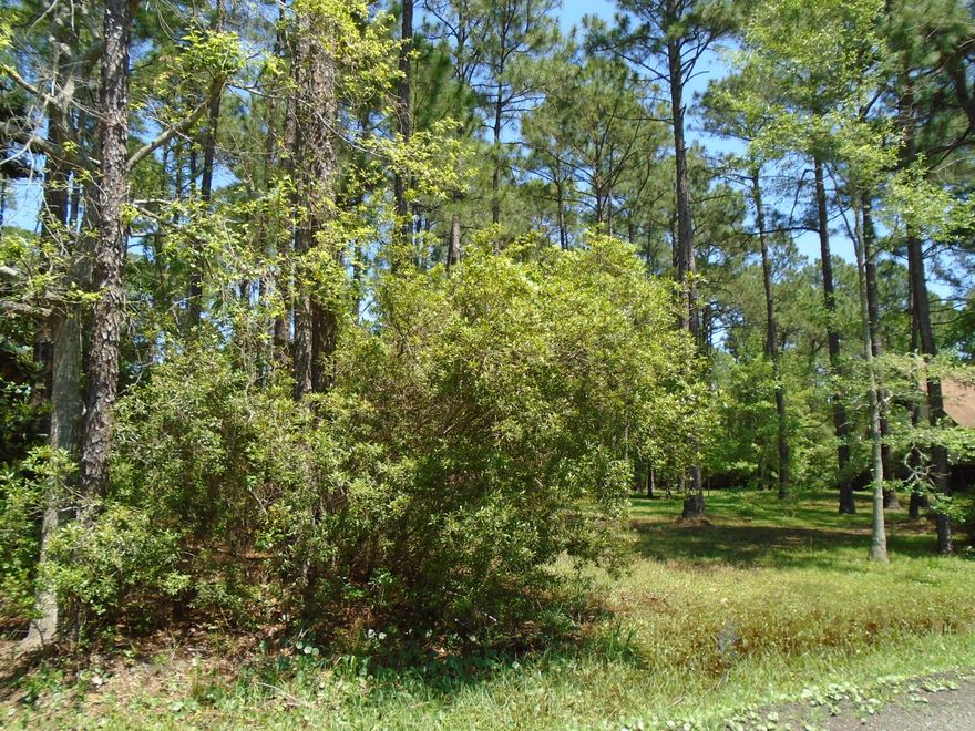 Beautiful wooded lot near the bay and on a nice paved street. Dimensions are approx and need to be verified by buyer.
