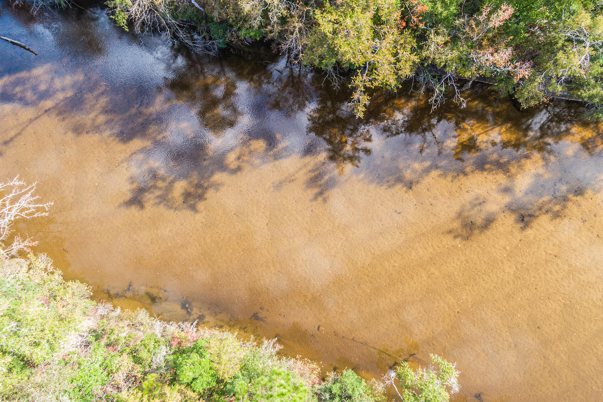 NORTH SUPERGROUP - Land