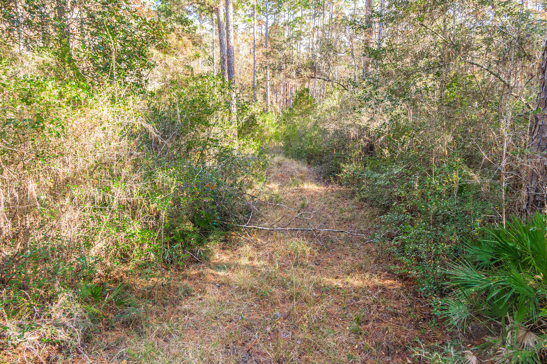 NORTH SUPERGROUP - Land