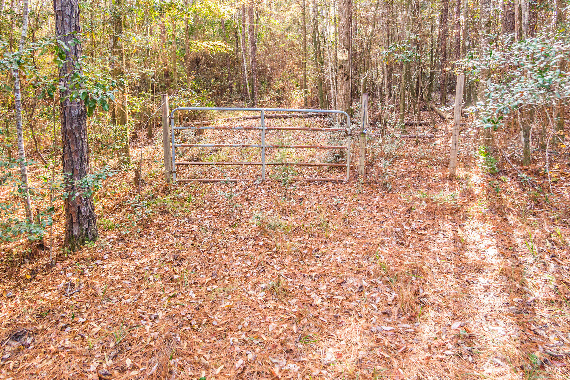 NORTH SUPERGROUP - Land