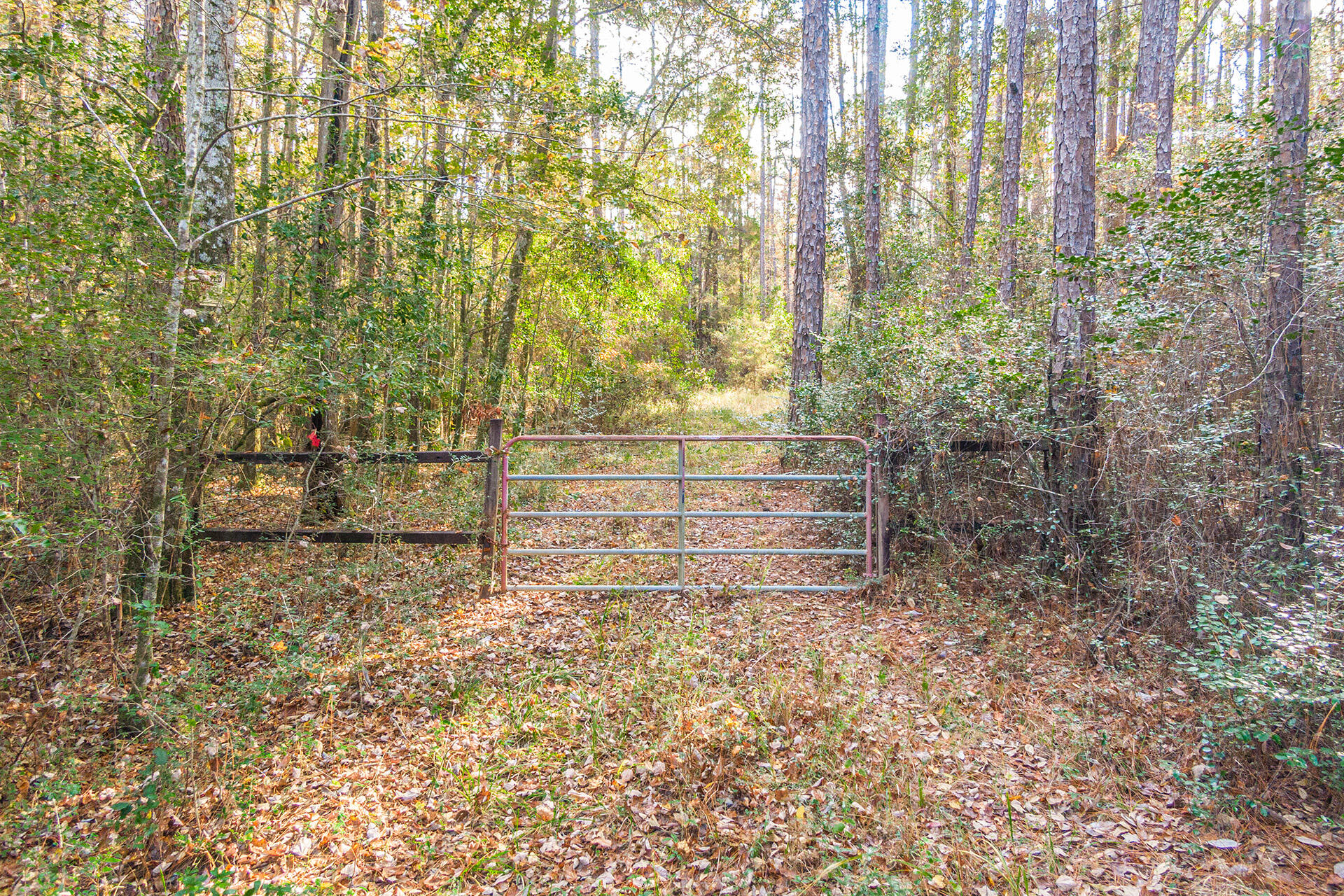 NORTH SUPERGROUP - Land