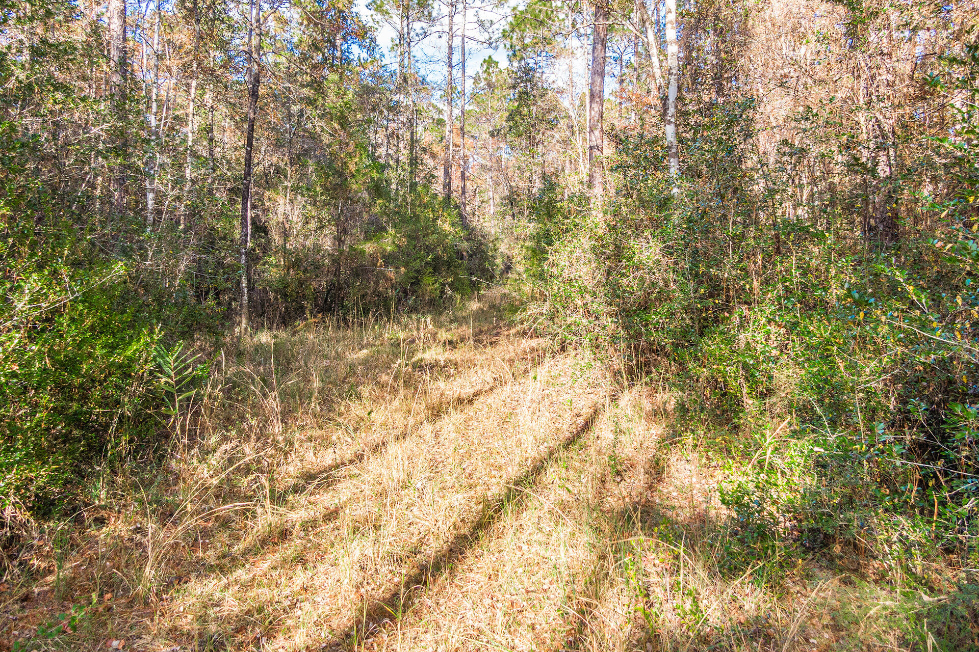 NORTH SUPERGROUP - Land