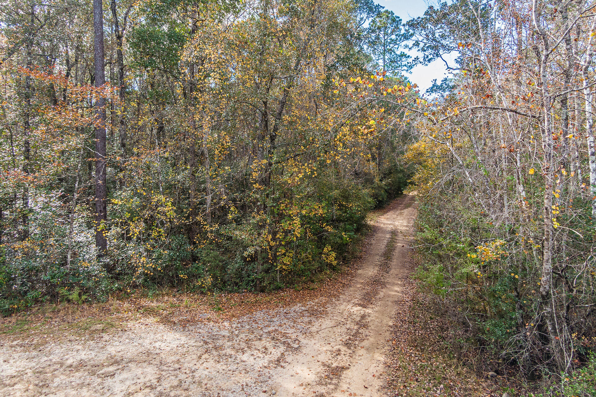 NORTH SUPERGROUP - Land