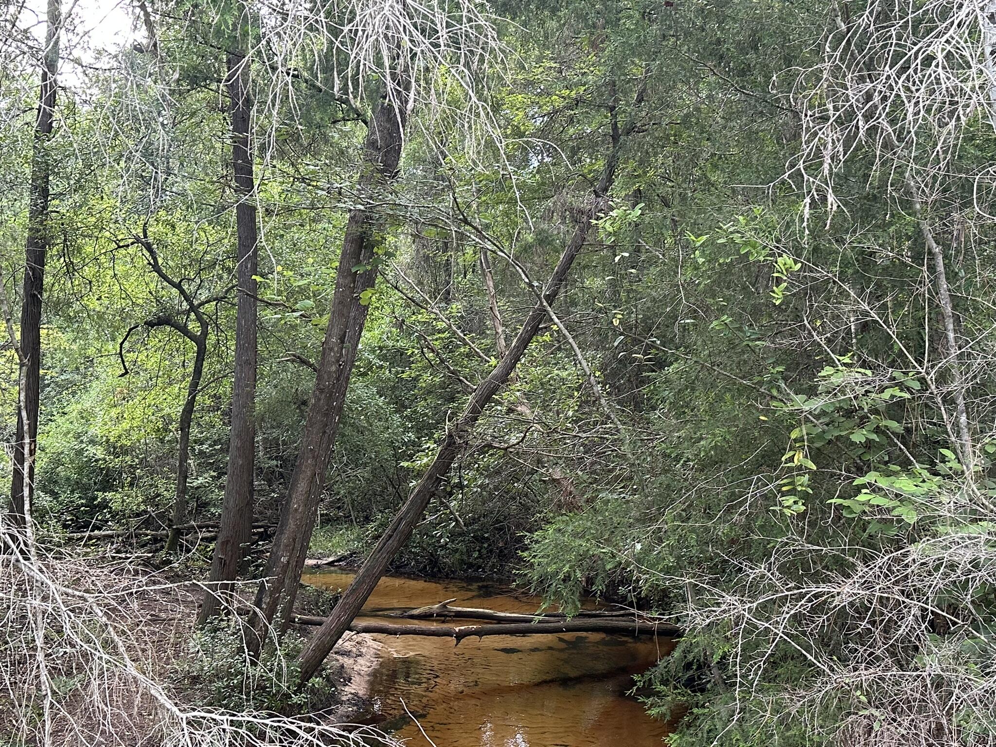 Spanning 20+/- acres in the heart of Baker, this property offers wide-open potential in a peaceful, rural setting. With plenty of space to spread out, this land is well-suited for a homesite, pasture, garden, or recreational use. Enjoy the quiet surroundings while still being within a short drive of Crestview and local amenities. Whether you're looking for room to grow or a retreat from busy life, this acreage delivers flexibility and freedom in Northwest Florida's countryside.