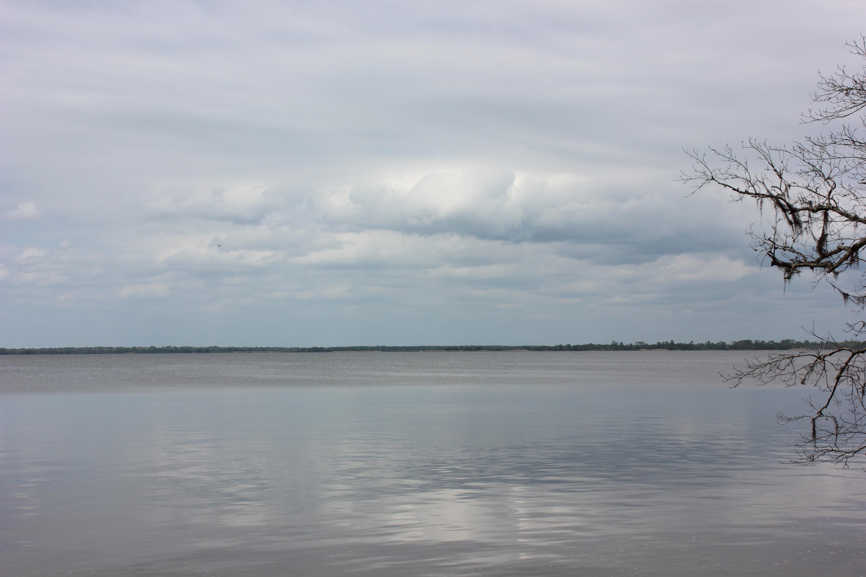 MAGNOLIA BEACH - Land
