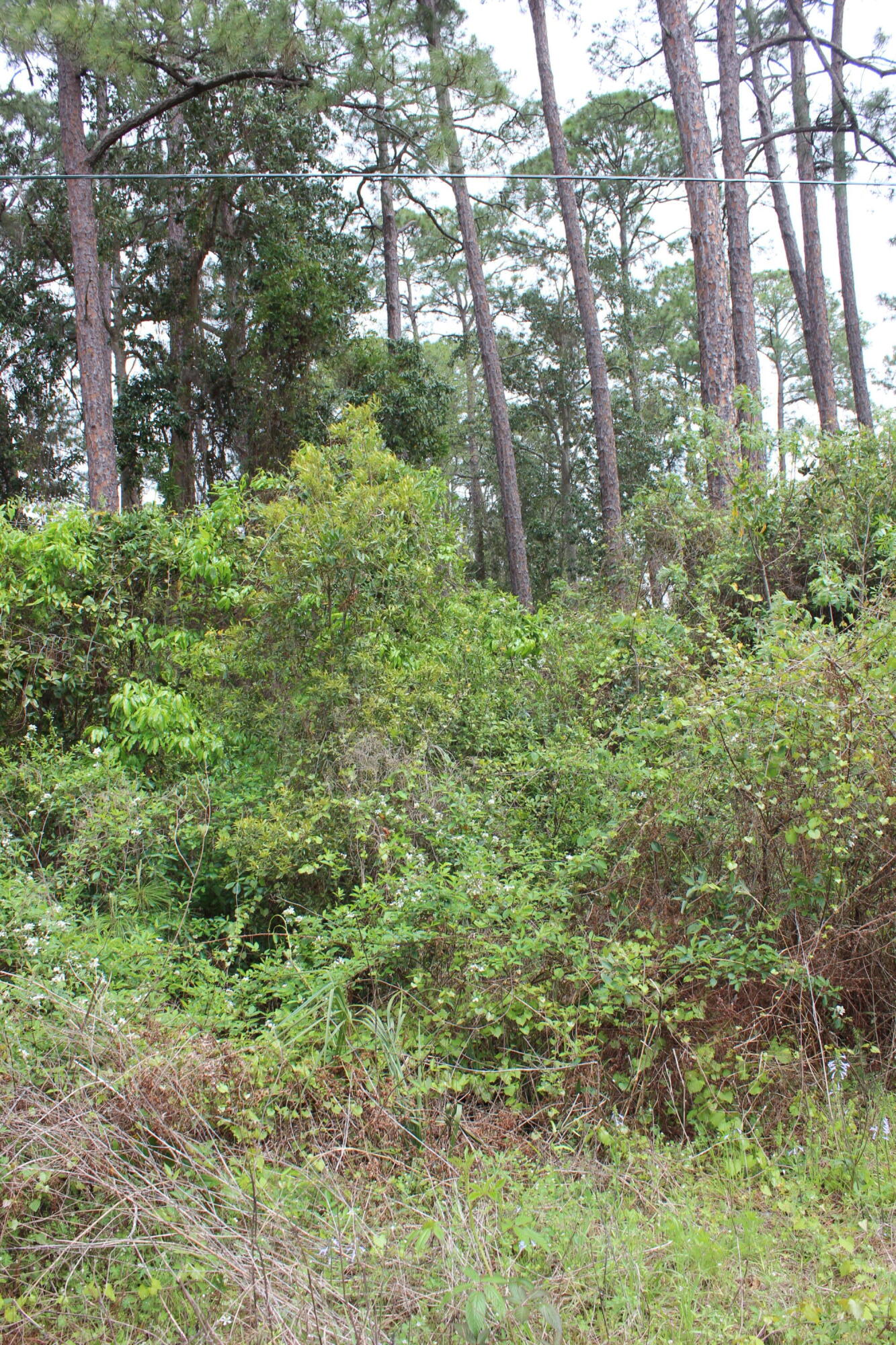 MAGNOLIA BEACH - Land