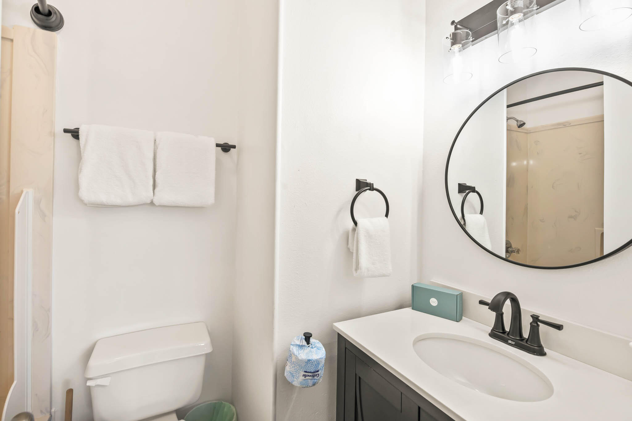 SEAGROVE DUNE T/H - Residential