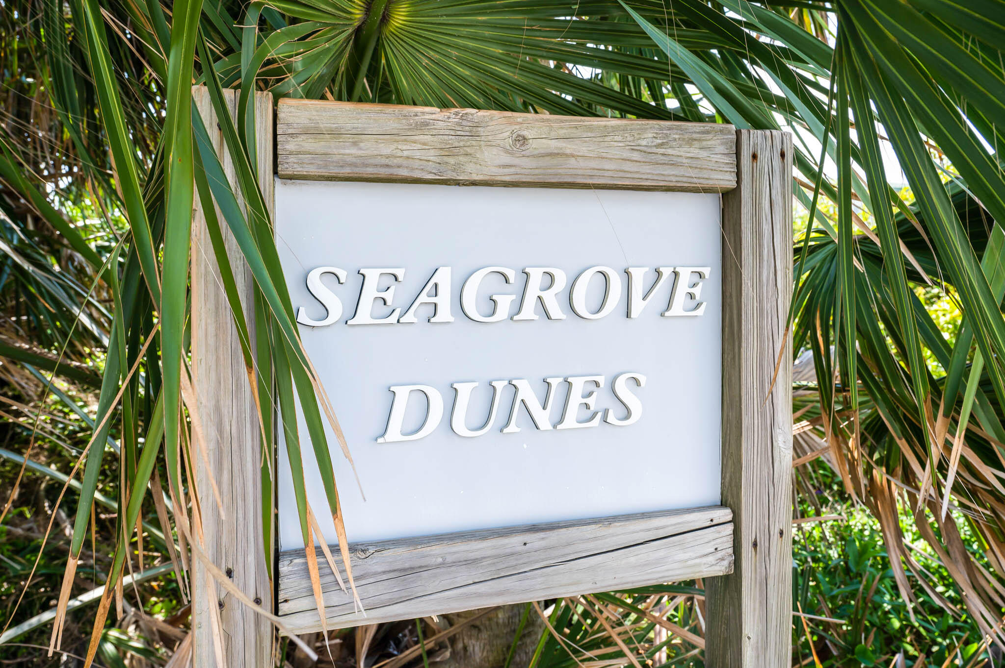 SEAGROVE DUNE T/H - Residential