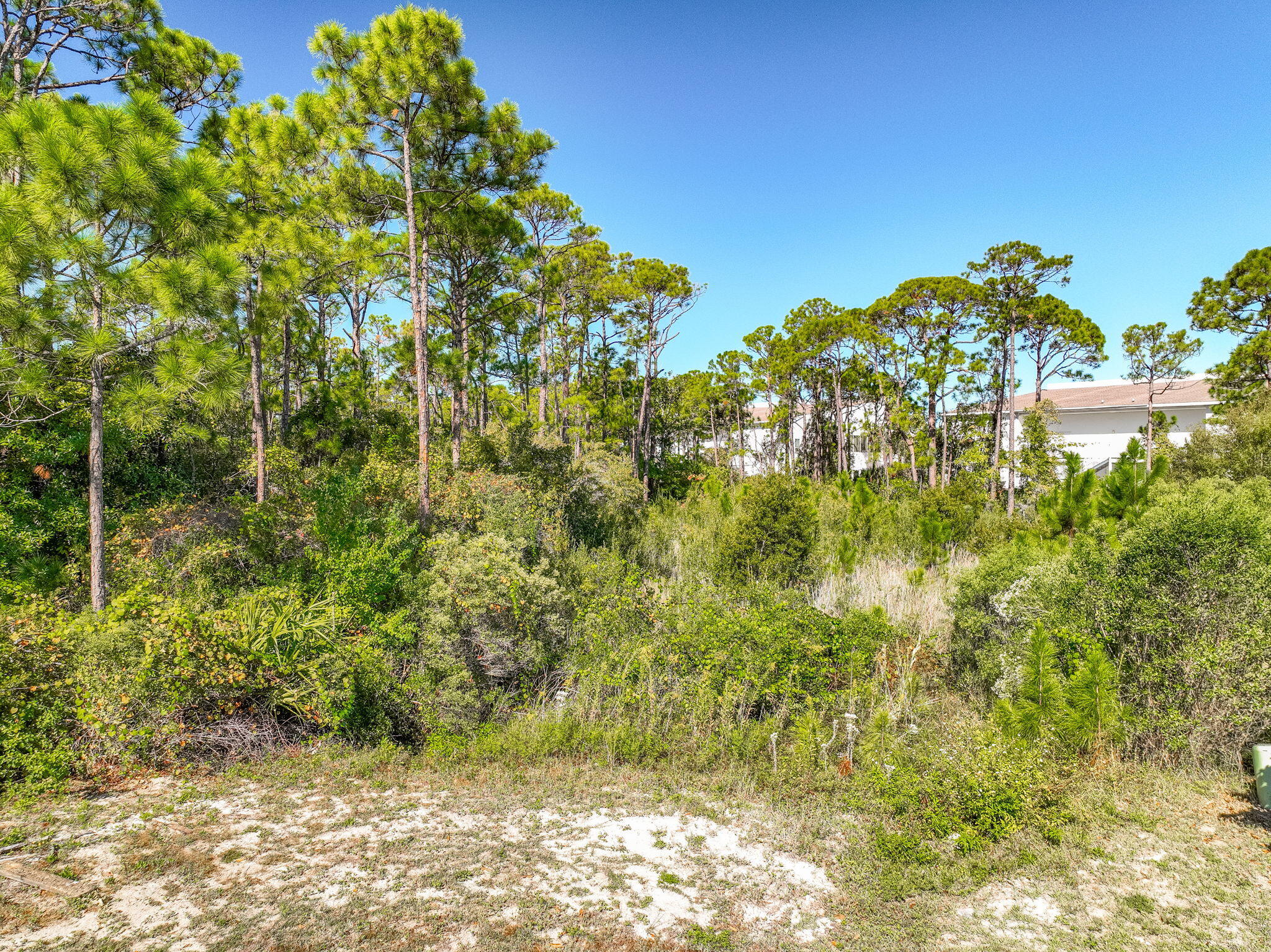 FRANGISTA BEACH - Land