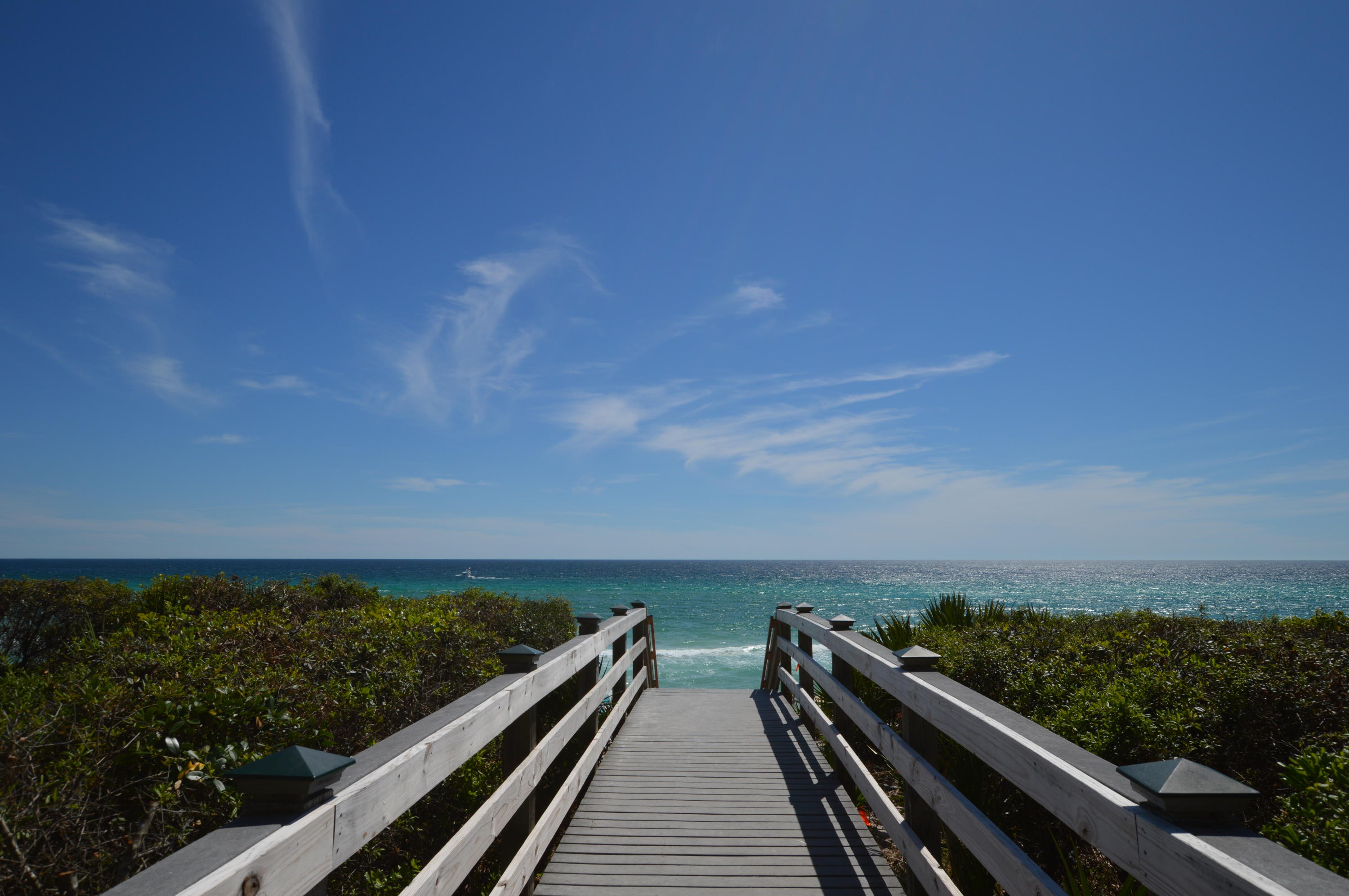 ALEXANDER AT PALM COURT - Residential