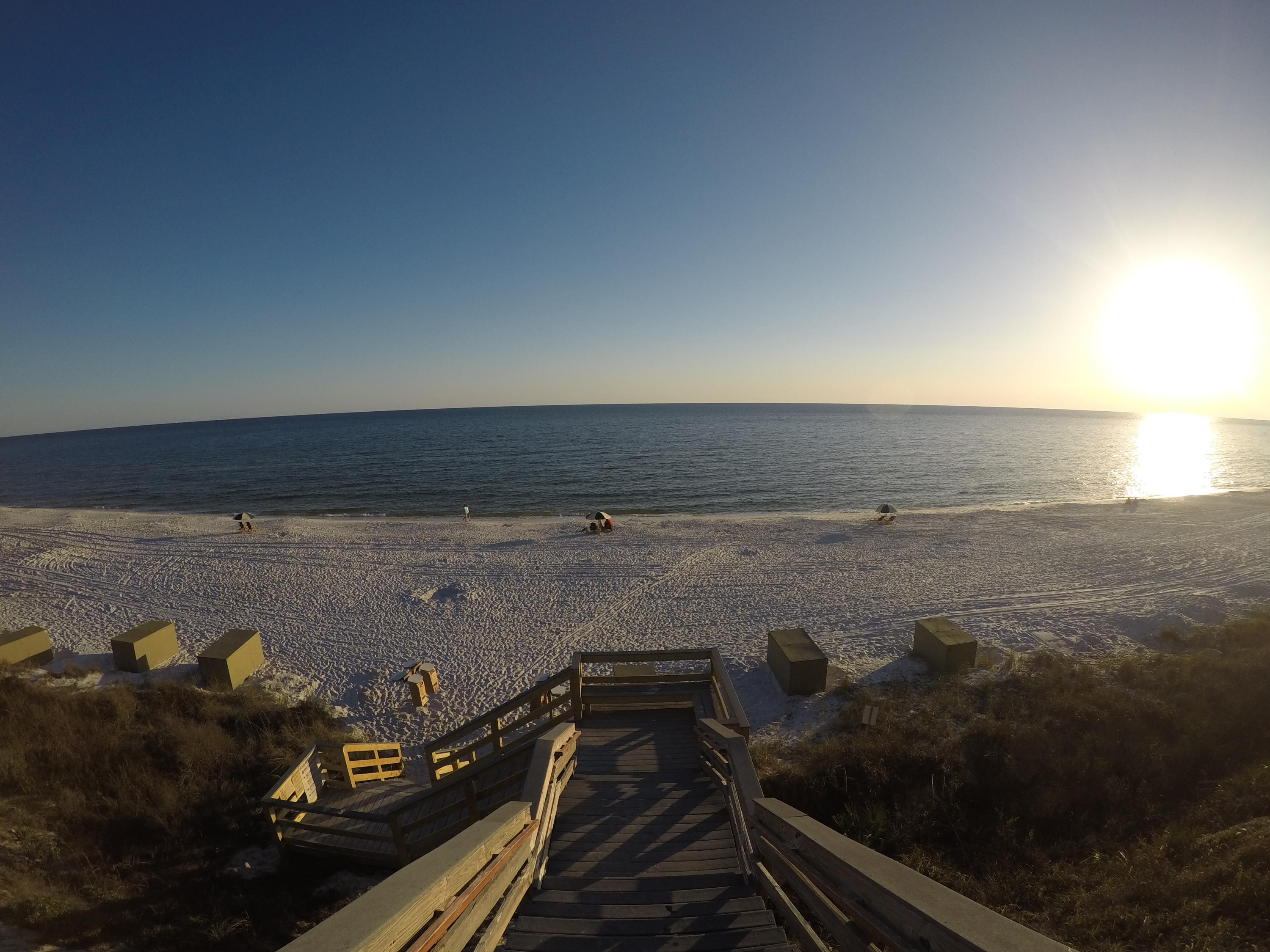 ALEXANDER AT PALM COURT - Residential