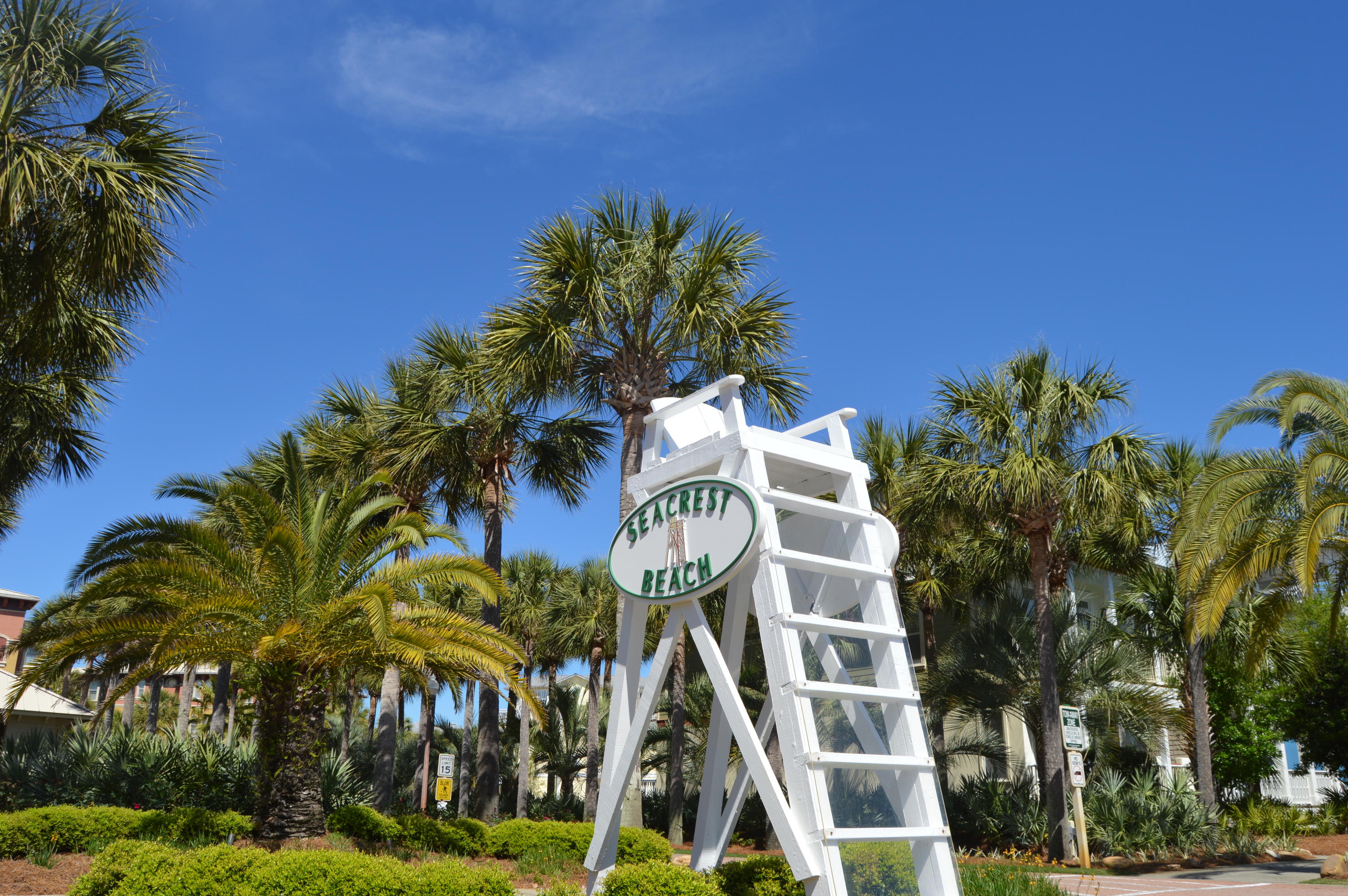 ALEXANDER AT PALM COURT - Residential