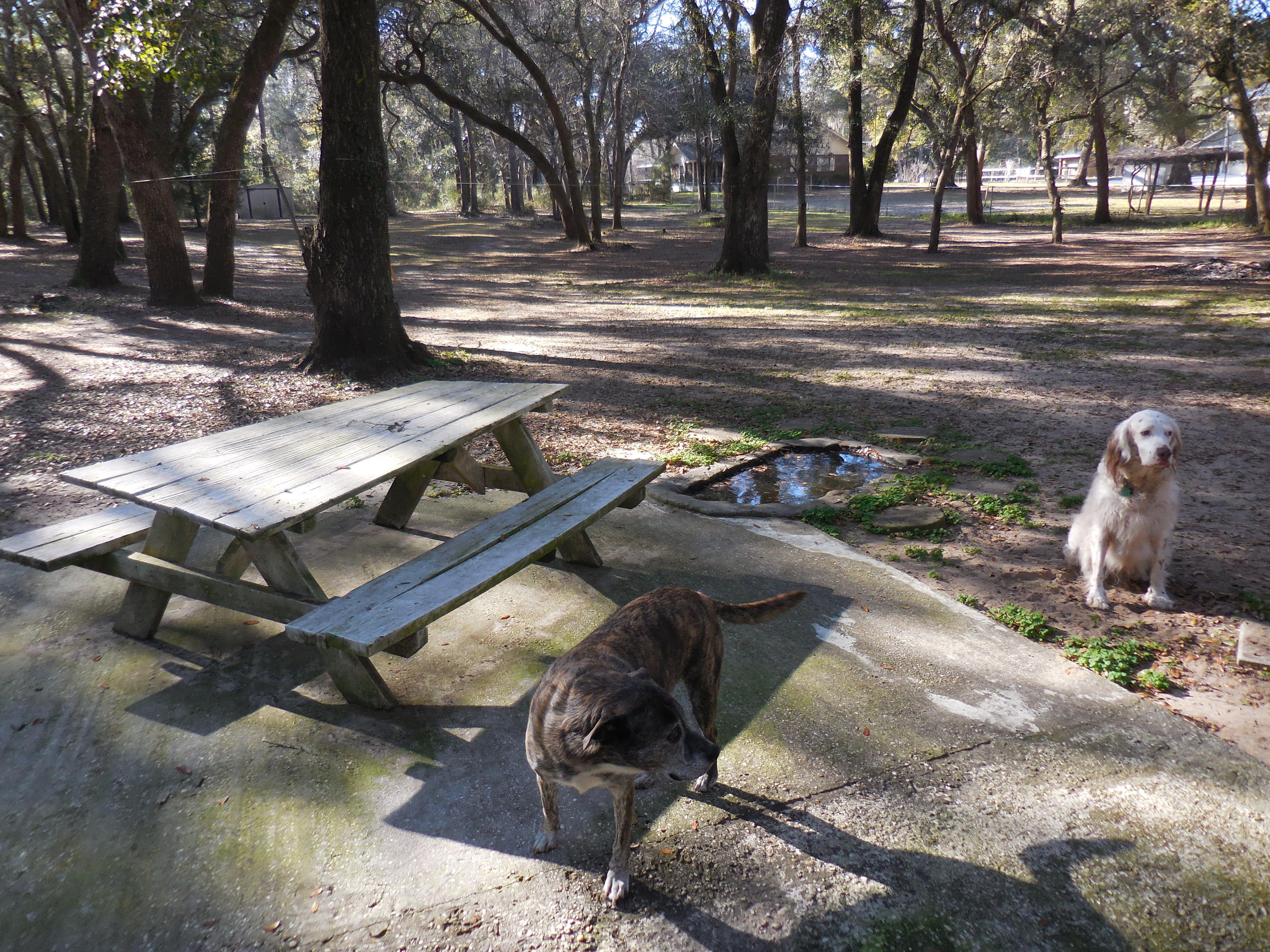 MULLET CREEK - Residential