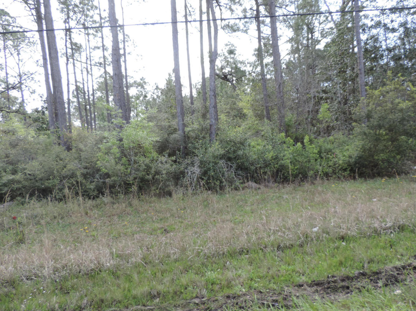 Lot has 72 Hour Kick Out Clause Extra large lot in Holley By the Sea. .98 acre situated between Arch Road and East Bay Blvd (Hwy 399) Enjoy all the amenities Holley by the Sea has to offer, pools, tennis courts, etc. This is the perfect site for building your dream home. Wetlands report is in the document section.