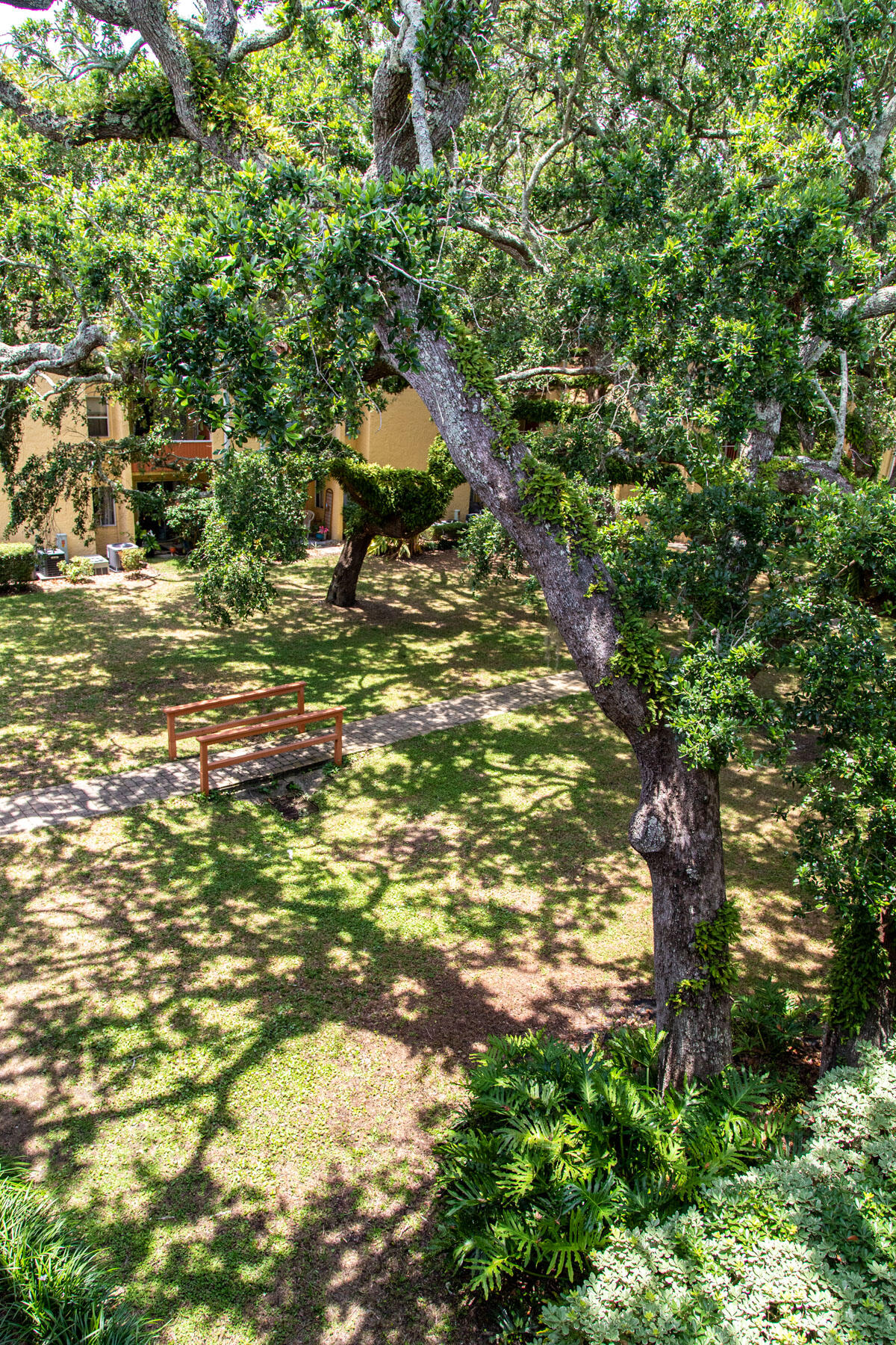 CEDARS CONDO - Residential