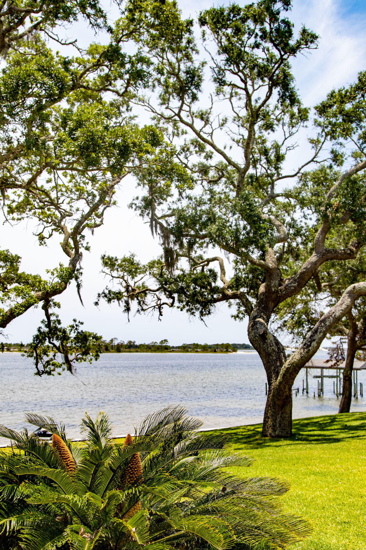 CEDARS CONDO - Residential