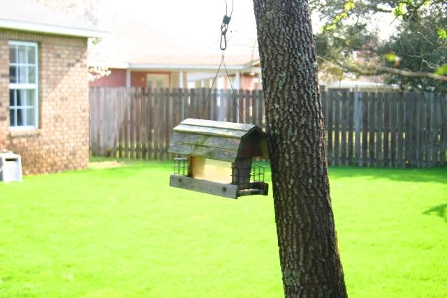 STEEPLECHASE PH 3 - Residential