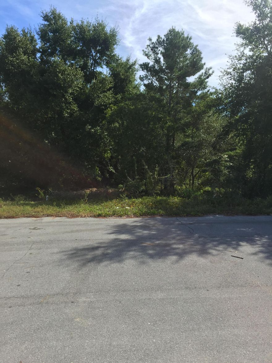 Great potential for family homes, close to town, shopping and recreation for kids. Perfect spot for someone wanting to build some new townhomes or small single family homes. Great community for families. Don't miss out on this opportunity. 5 lots available on this block.Listing agent is related to seller.