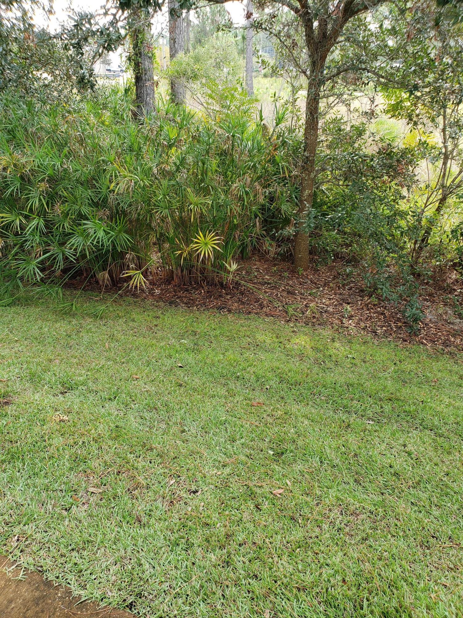 WATER OAKS T/H - Residential