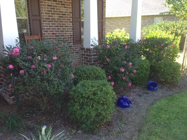 THE PRESERVE AT SWIFT CREEK - Residential