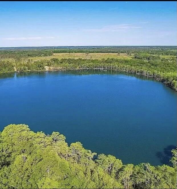 BLUE CYPRESS - Residential