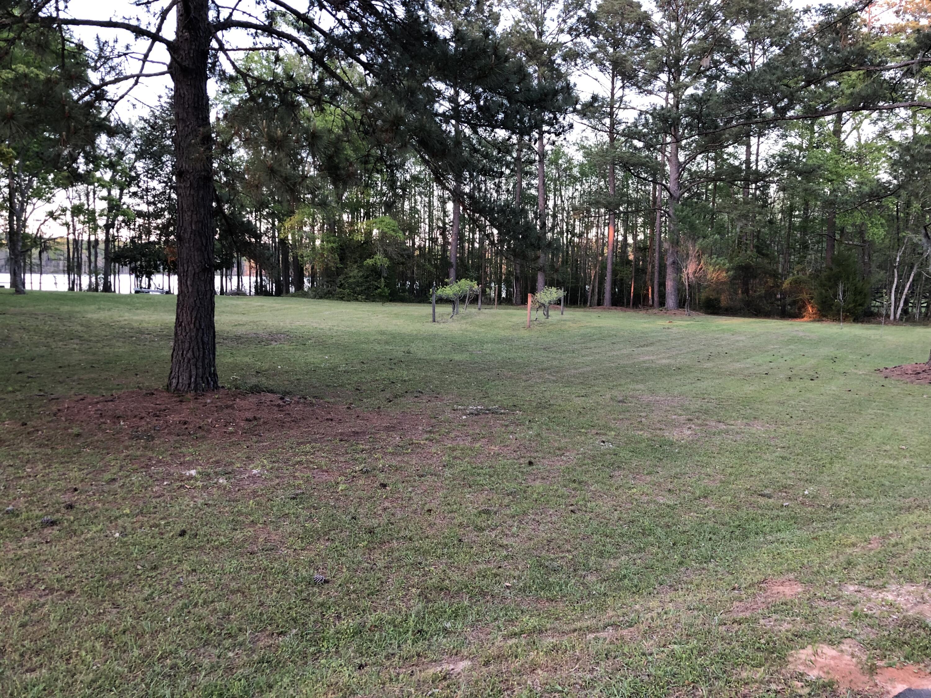 BLUE CYPRESS - Residential