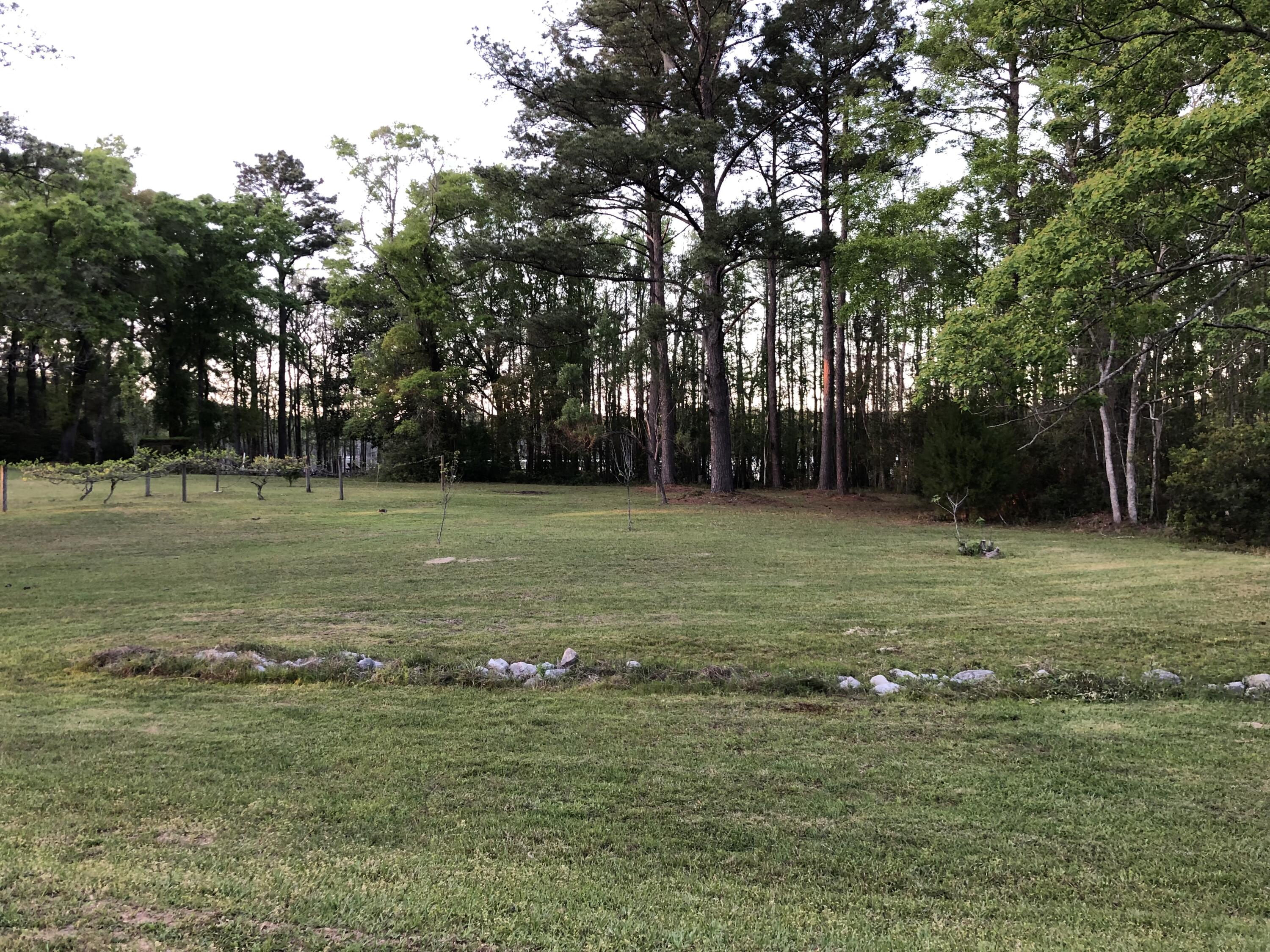 BLUE CYPRESS - Residential