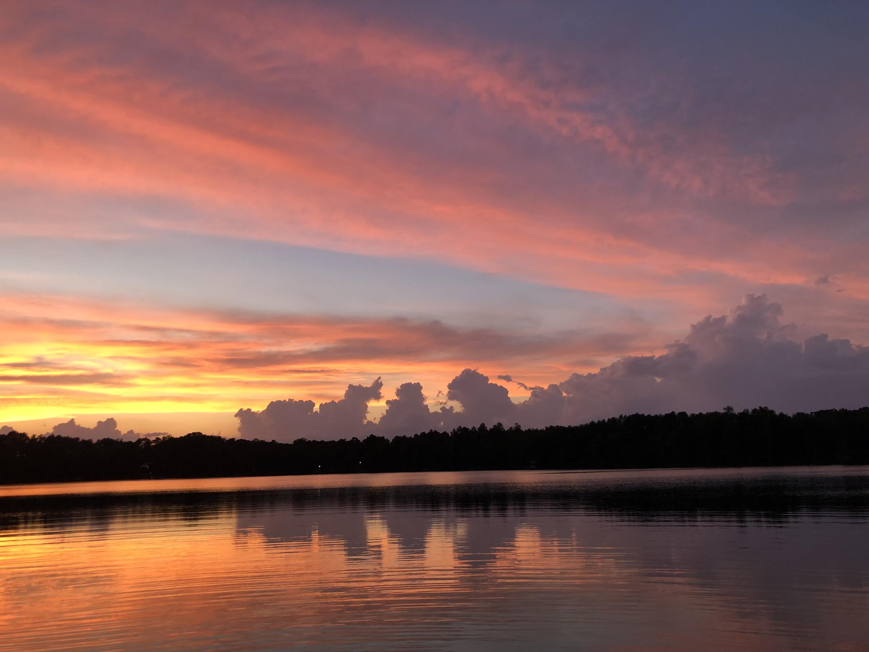 BLUE CYPRESS - Residential