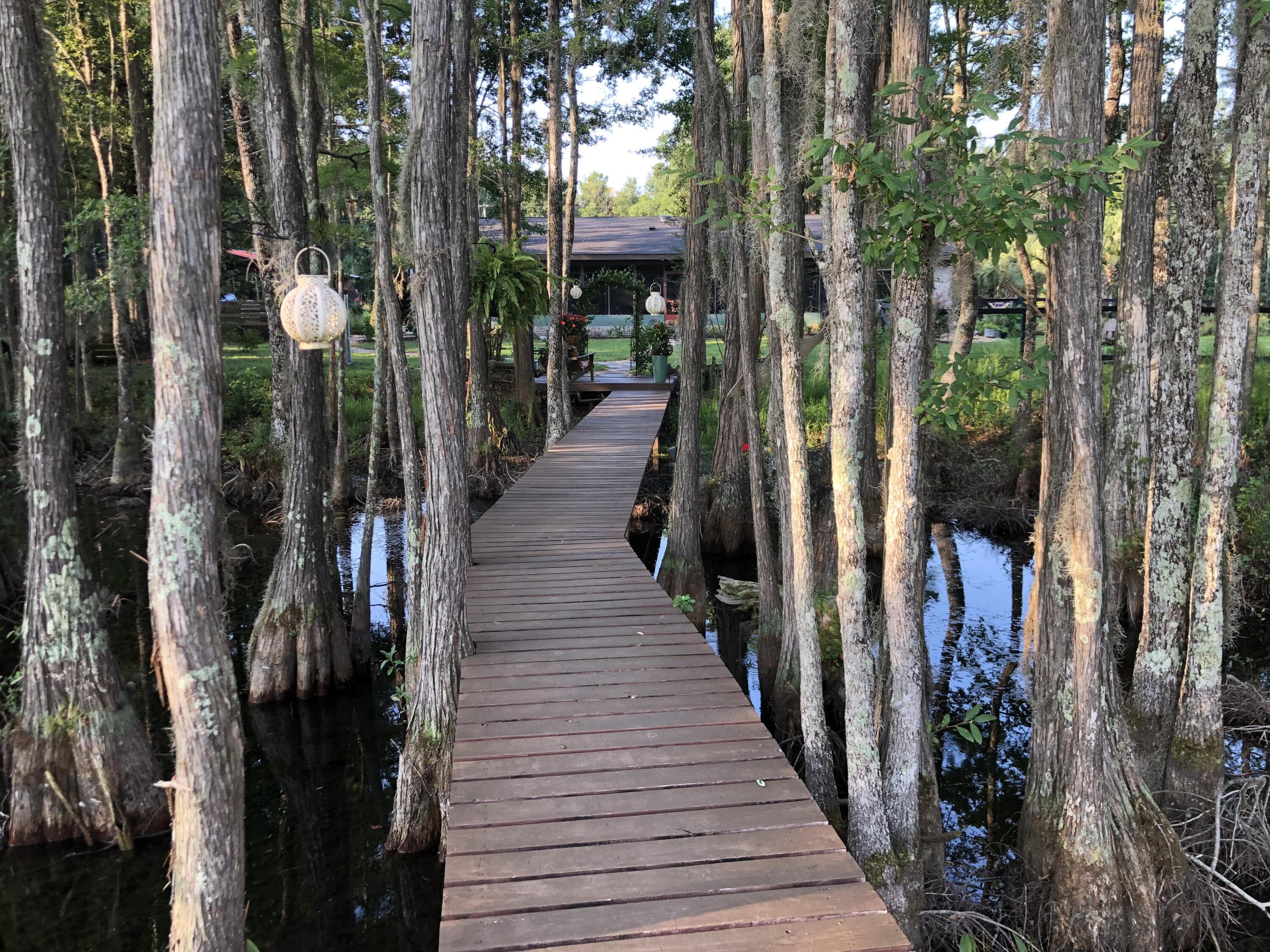 BLUE CYPRESS - Residential