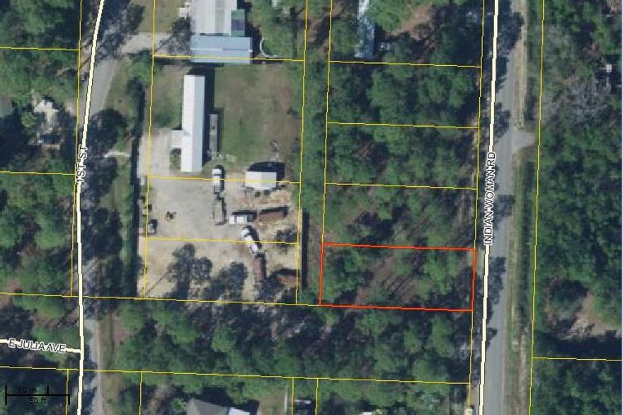 lot 10 located in North Santa Rosa Beach FL on a paved road with water and sewer available (tap fees not paid). Bush Hogged 1 year ago. Survey available. Additional land available. Buyer should verify all measurements.
