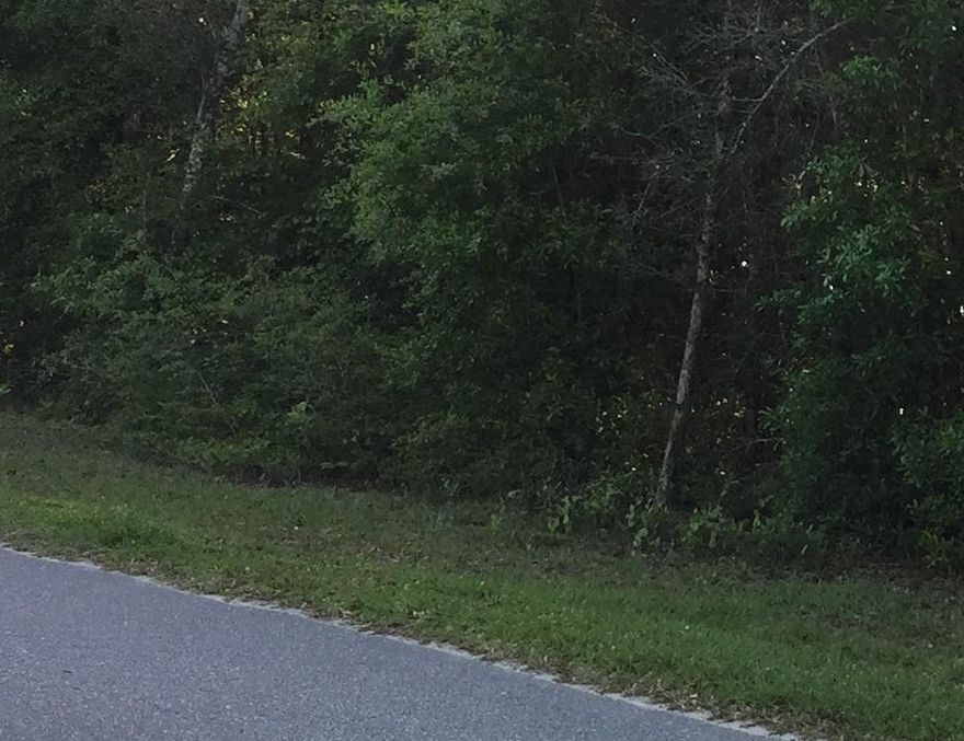 Eden State Gardens! Choctawhatchee Bay! Minutes from the Beaches of South Walton! Point Washington is growing! New homes are under construction and many owners are settled into this beautiful area. Build your dream home on this 1 acre lot just steps from everything that life near the water can offer! Boat launch, pier and bay breezes await!