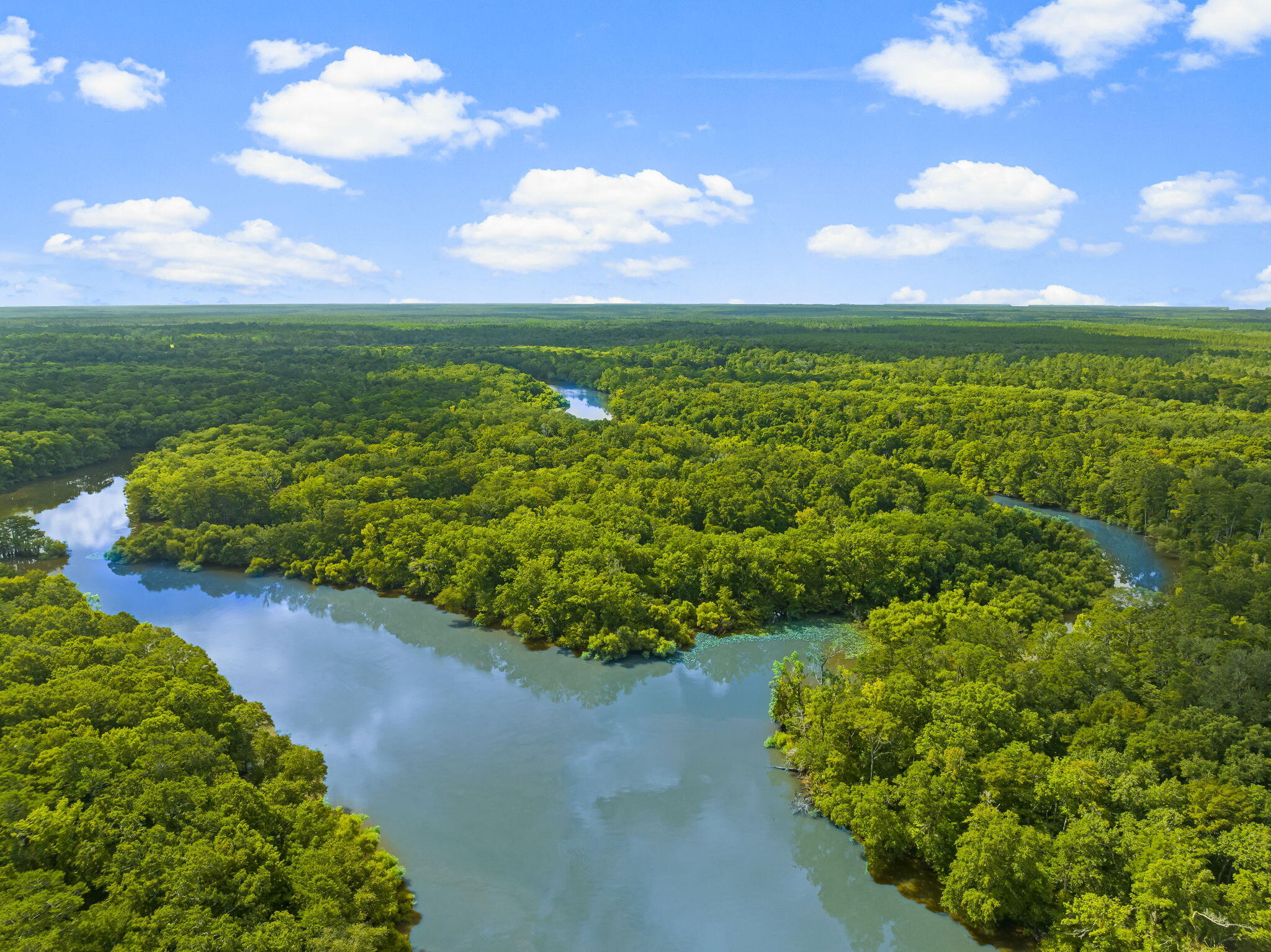 COWFORD - Residential Lease