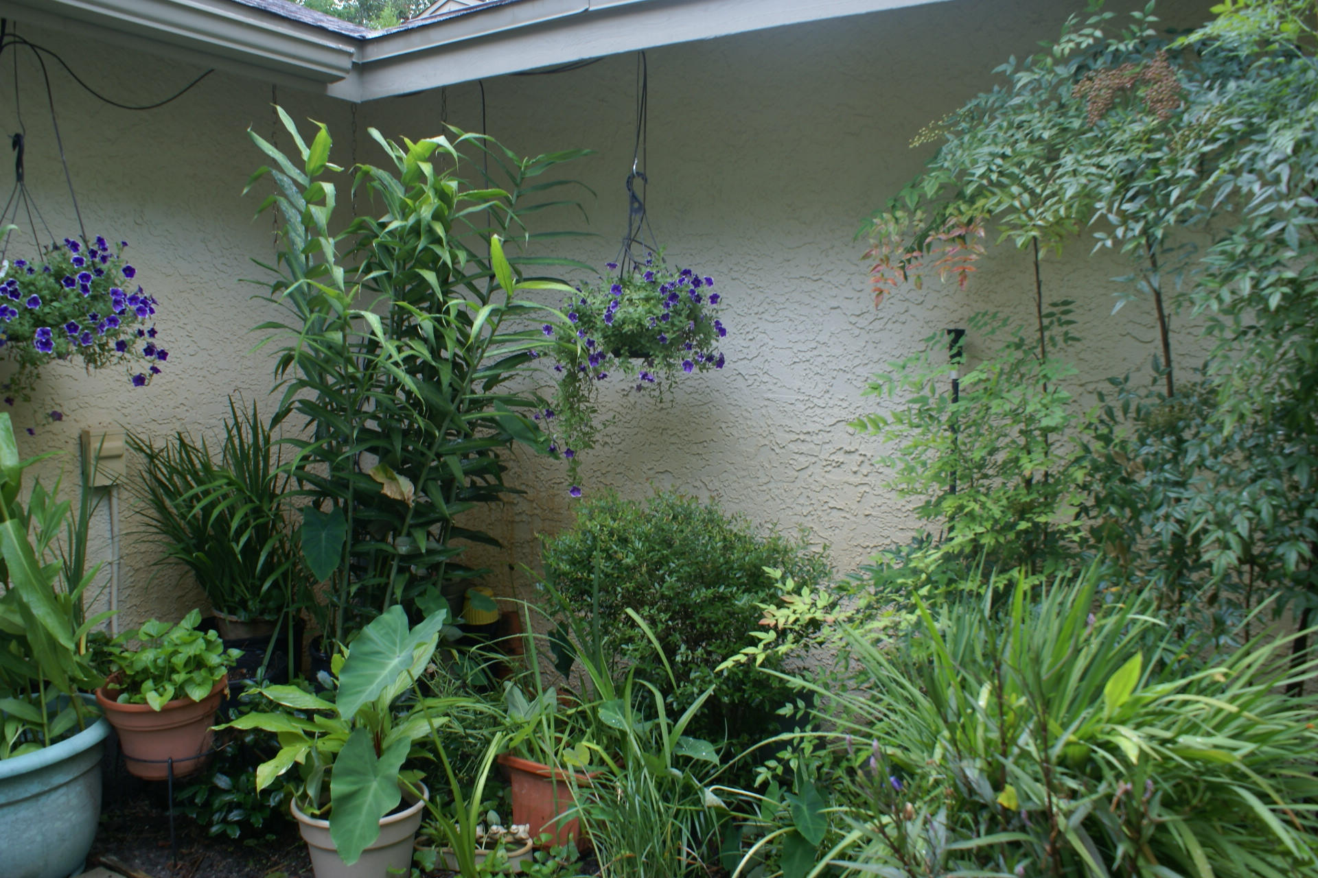 ROYAL OAK VILLAGE III-B - Residential