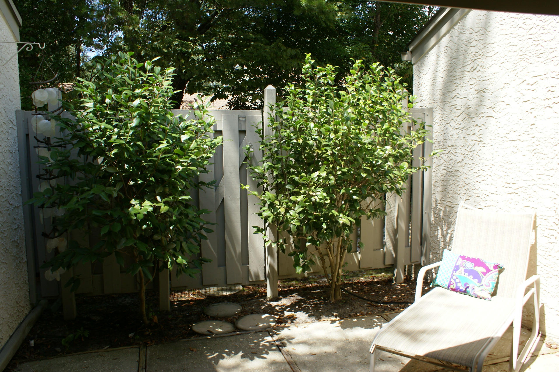 ROYAL OAK VILLAGE III-B - Residential