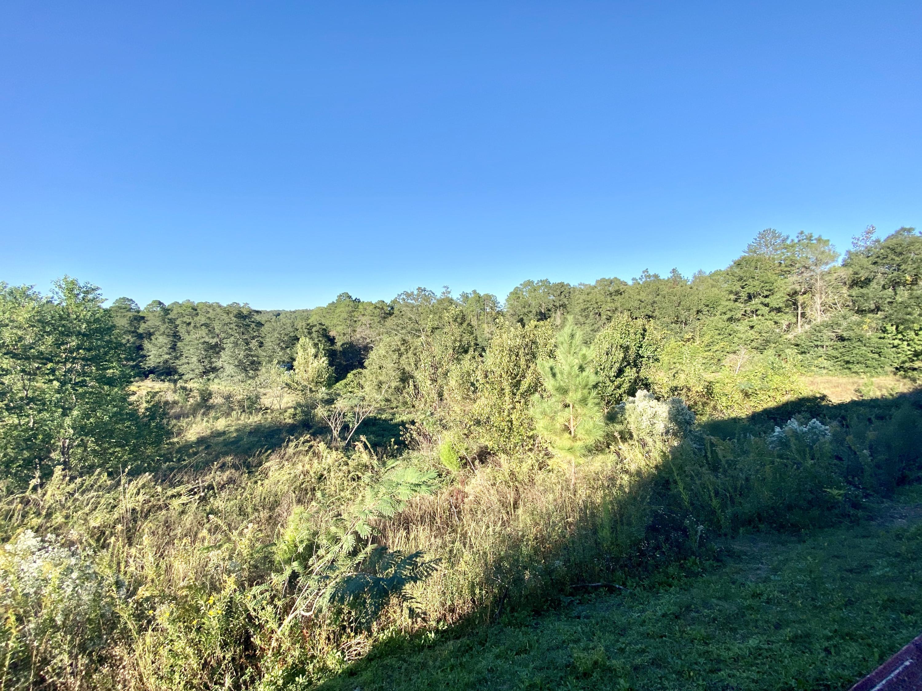 ARBOR LAKE - Residential