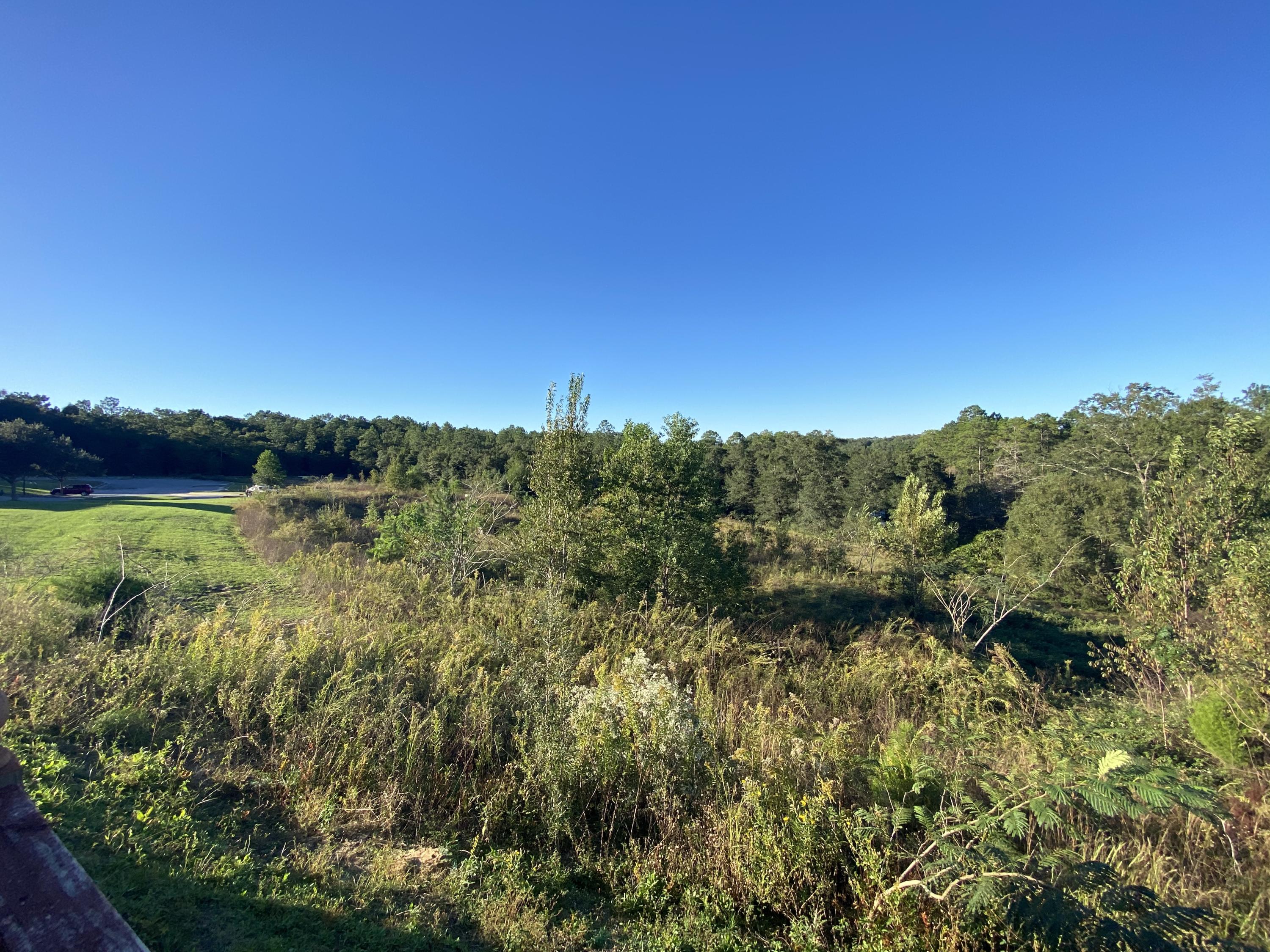 ARBOR LAKE - Residential