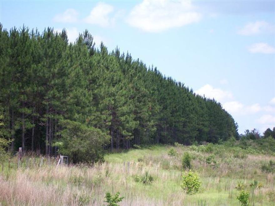 LOOKING for LARGE ACREAGE with a beautiful vegetation. This is an amazing 232+ acres with lush green space. There is a mixture of timber, land for grazing, opportunity for hunting and lots of privacy. There are five parcels being sold together. The land is considered Agriculture, Timber, and vacant.Please do not go on private property with the house to look at the parcels. Buyer will need to verify the acres.