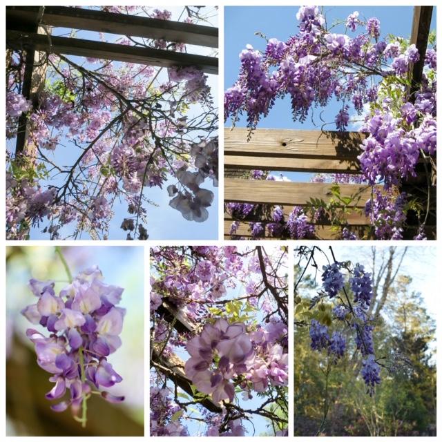 BLUEWATER BAY VILLAGE 1A - Residential