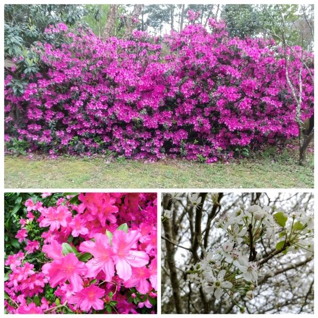 BLUEWATER BAY VILLAGE 1A - Residential