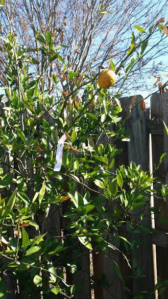 ANTIOCH ESTATES S/D 3 - Residential