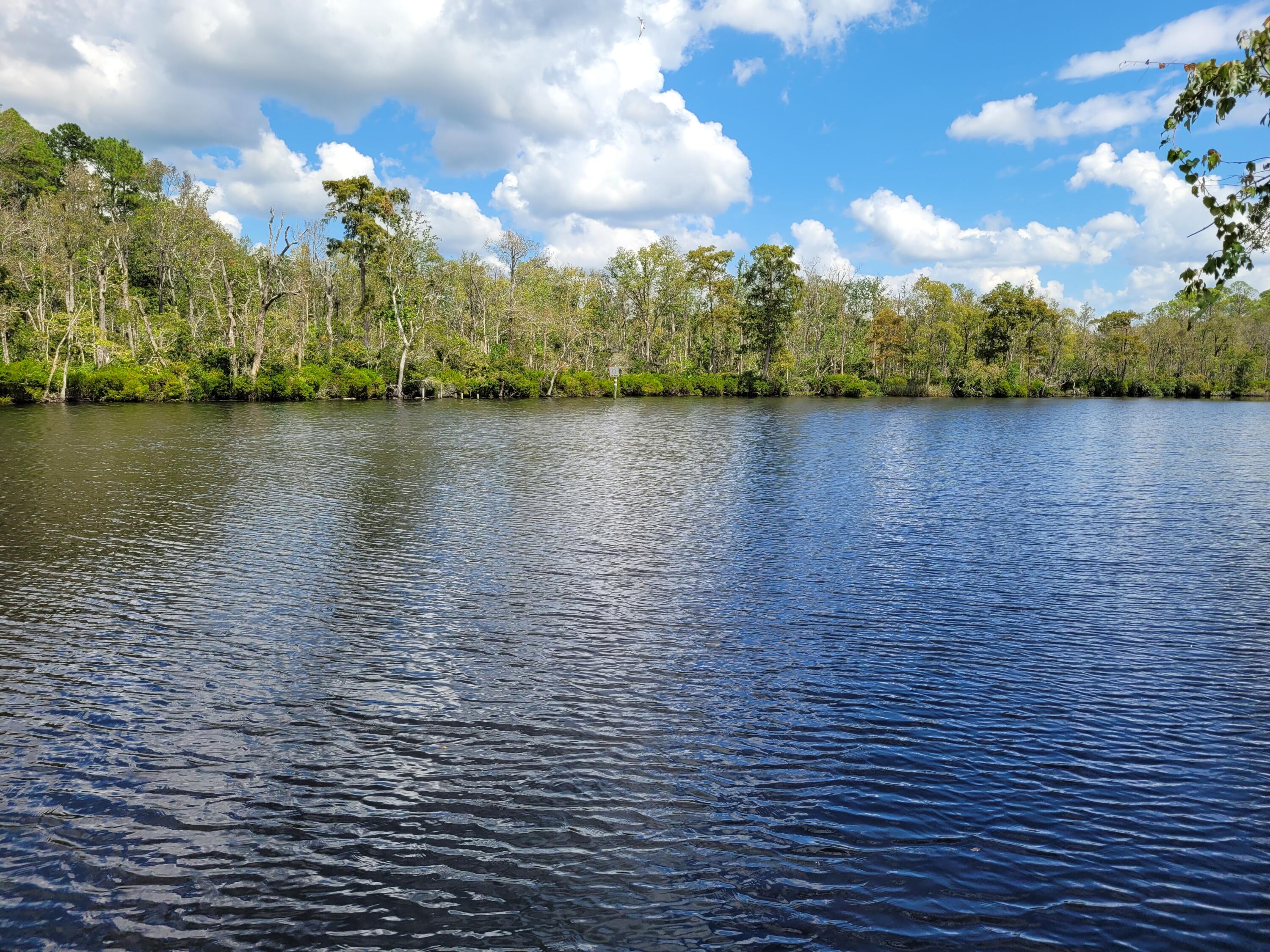 18 acres fronting the north side of Black Creek with 685 ft creek frontage. Easment access is currently blocked with a locked gate. I am working with Walton County Code Enforcement to resolve. Listing will be temporarily withdrawn until resolved.