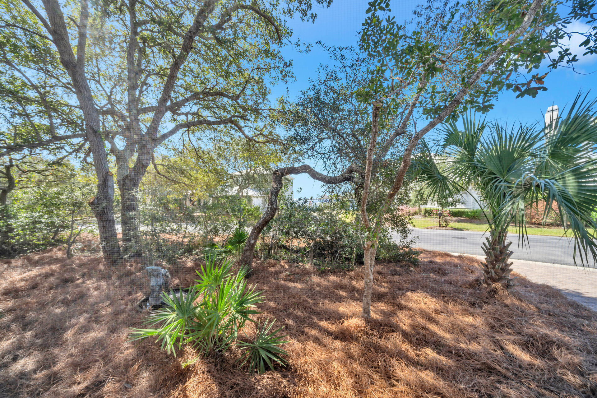 LAKEWOOD POINTE ESTATES - Residential
