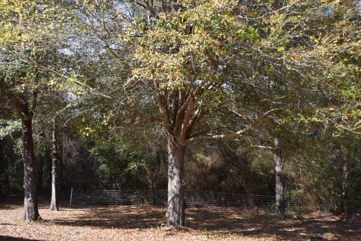 JERNIGAN S/D 2ND ADDN - Residential