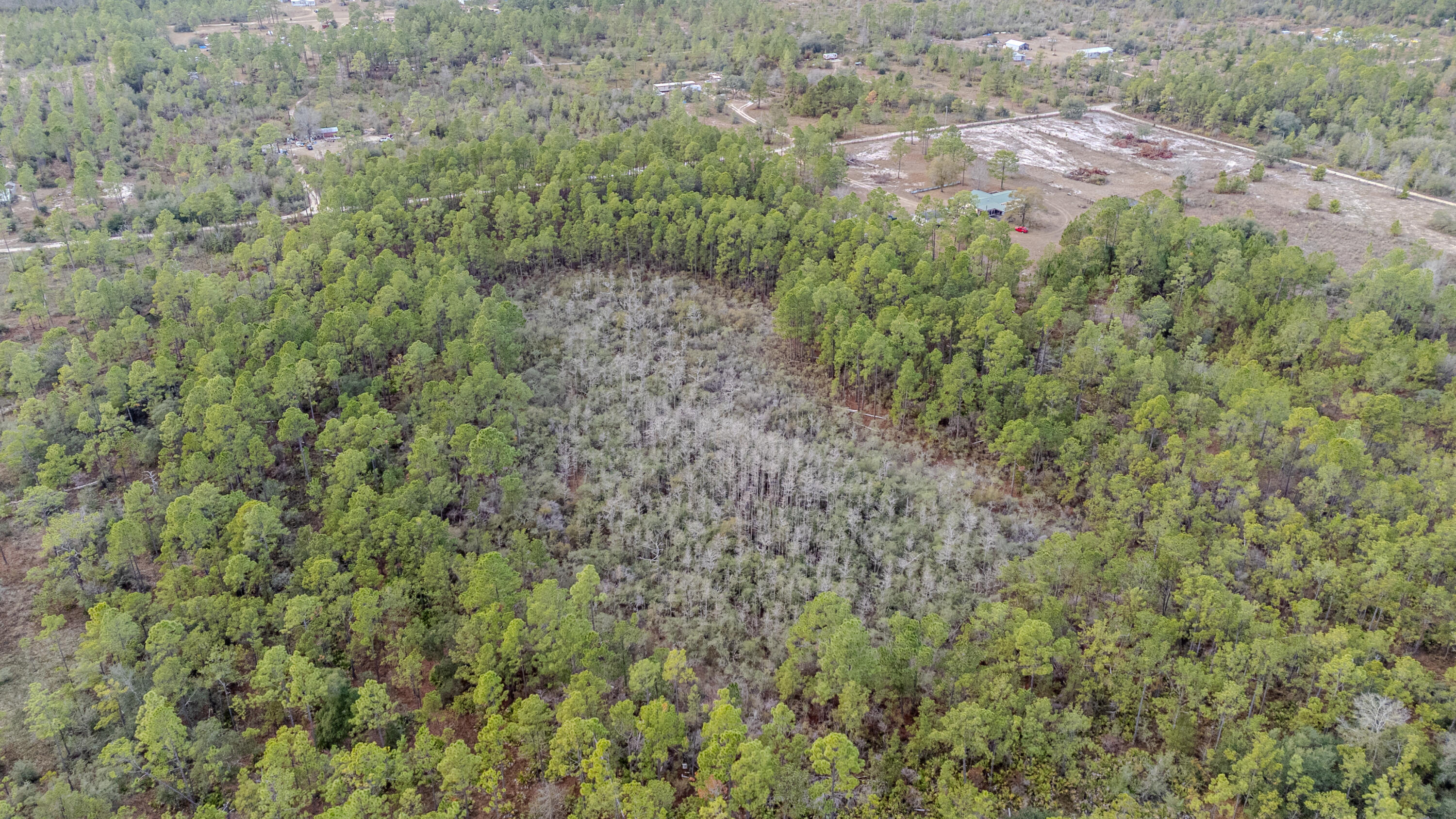 BAKER RDALTHA 32421 - Land