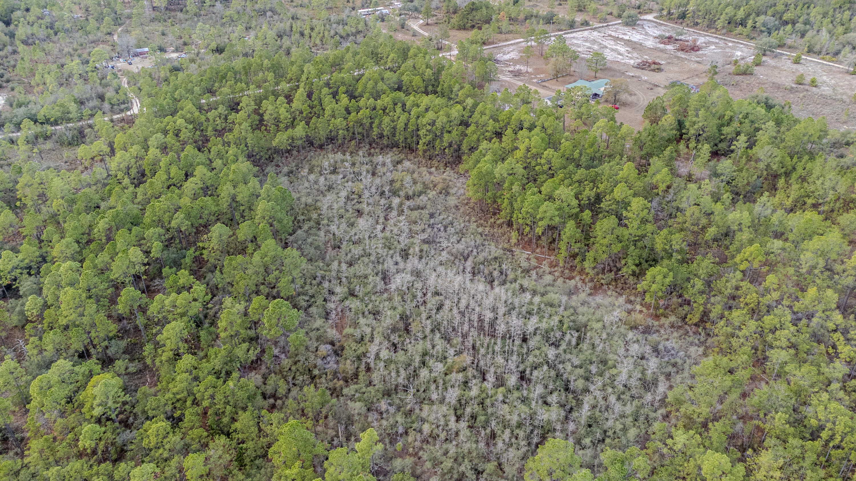 BAKER RDALTHA 32421 - Land