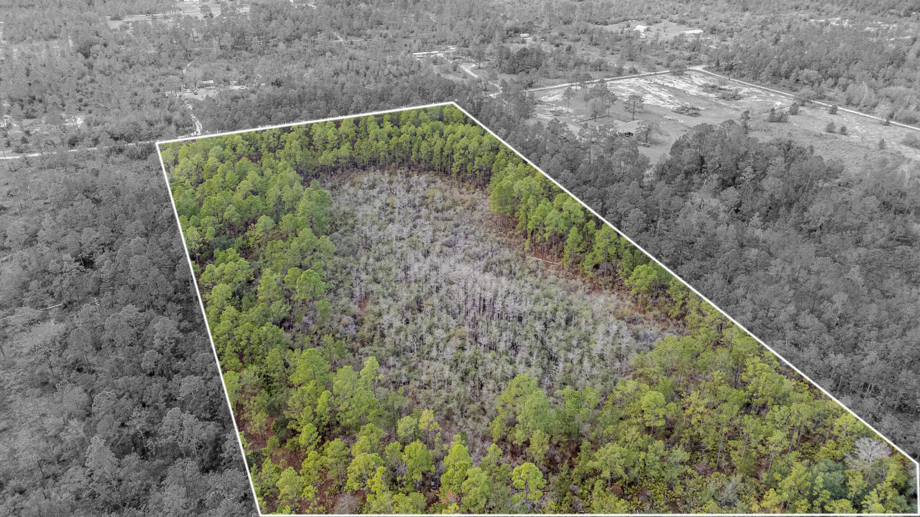 BAKER RDALTHA 32421 - Land