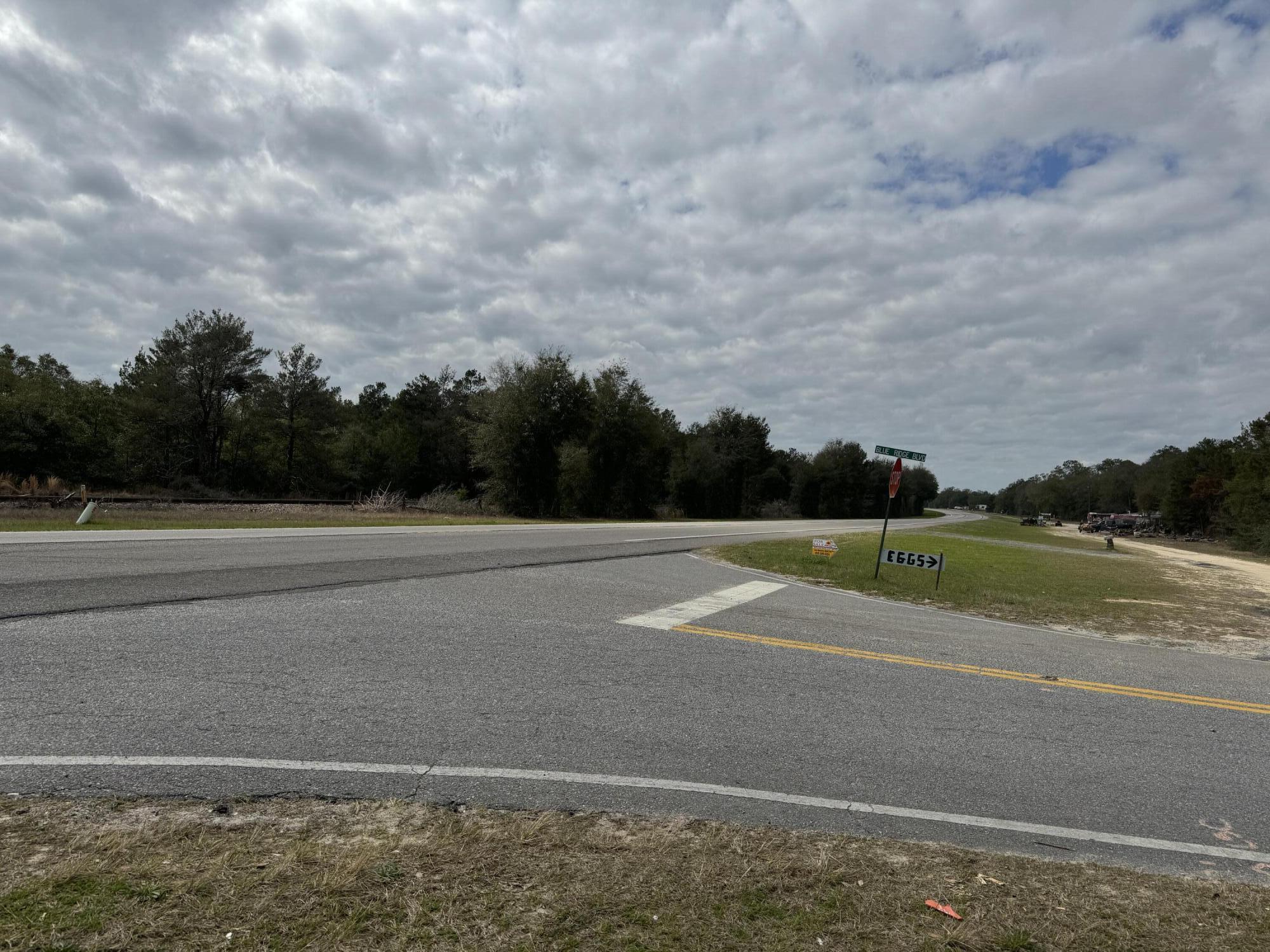 Level building lot in the rapidly growing Mossy Head community. There is an interstate exchange nearby. The property is also near the fast developing Walton County Industrial Park. The lot itself is sparsely wooded and has approximately 525ft of road frontage between US Hwy 90 and Blue Ridge Blvd. Call today for more details!